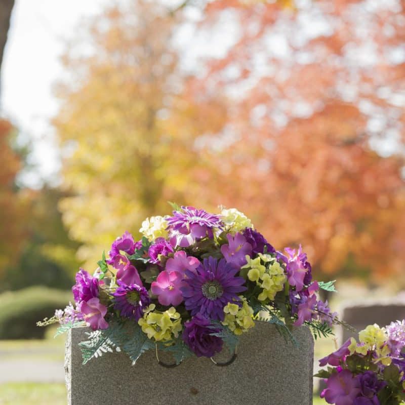 Purple Tombstone Flowers In The Fall