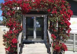 Elliotts Mt Maunganui Gloucester Elliotts Mt Maunganui Gloucester